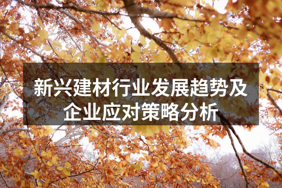新兴建材行业发展趋势及企业应对策略分析